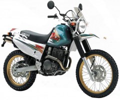 Yamaha TT250R Raid Luggage Rack System